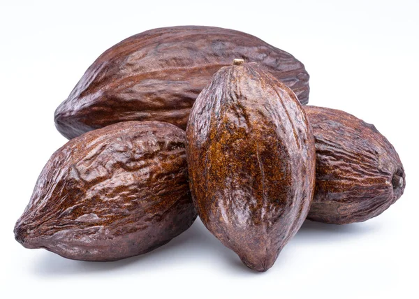 Vainas de cacao marrón aisladas sobre un fondo blanco . —  Fotos de Stock