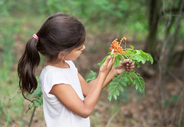 The young girl is looking at rowan berries. — Stock Photo, Image