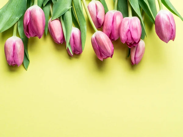 Delicati tulipani freschi su sfondo giallo . — Foto Stock