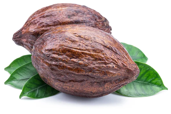 Cacao peulen met cacao bladeren geïsoleerd op een witte achtergrond. — Stockfoto