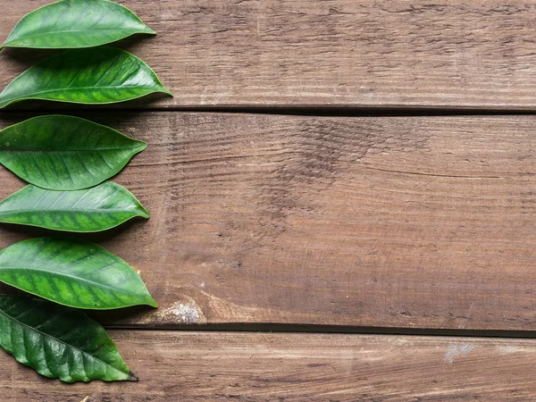 Kakao yaprakları ahşap arka plan çerçevenin bir parçası olarak düzenlenmiş. 