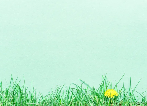 Yeşil çimenlerin üzerinde boş bir kağıt. Yeşil çim bir çerçeve olarak.