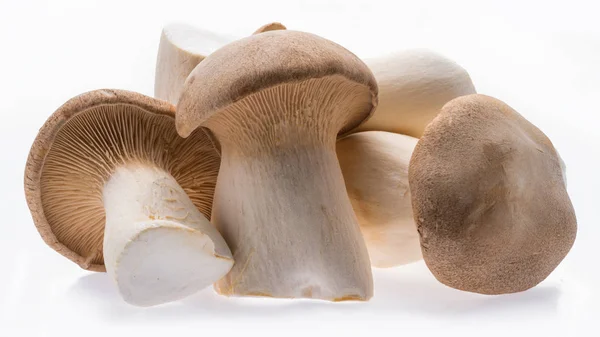 King oyster mushrooms isolated on white background. — Stock Photo, Image