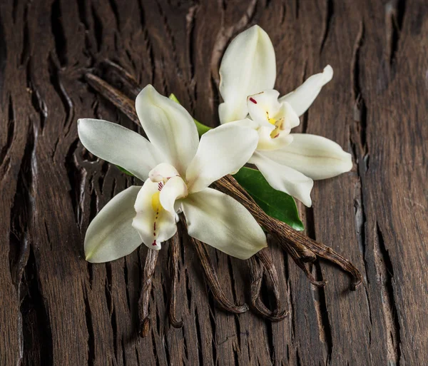 Palitos de baunilha secos e orquídea de baunilha na mesa de madeira . — Fotografia de Stock