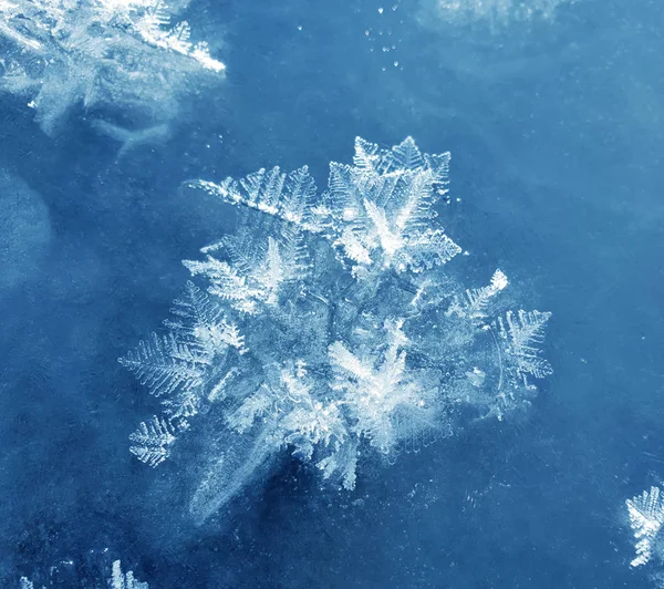 Сніжинки як снігові метелики над замерзлою крижаною річкою. Морозний n — стокове фото