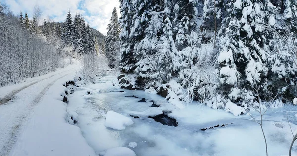 Beau paysage hivernal. Route entre sapins enneigés à la dent — Photo