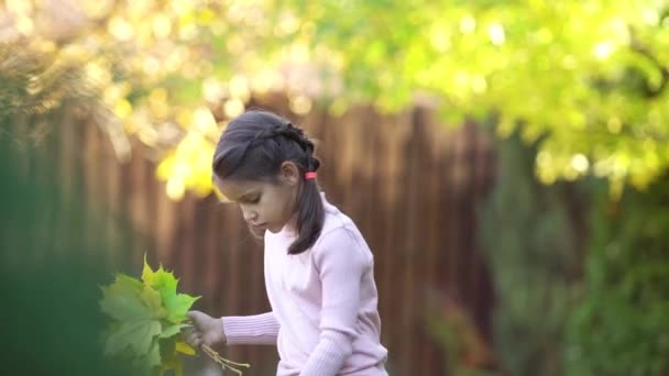 Chica Exterior Está Jugando Regocija Con Las Hojas Otoño Vídeo — Vídeo de stock