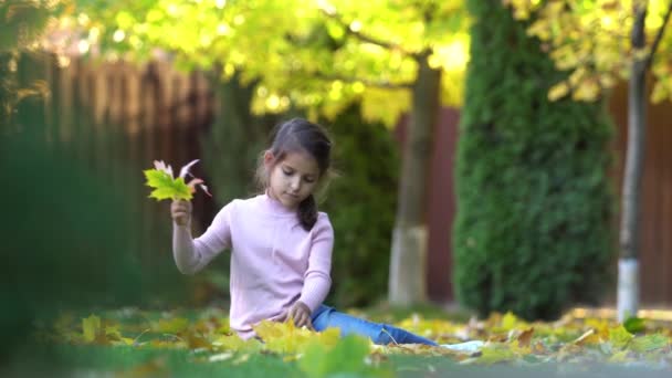 Chica Exterior Está Jugando Regocija Con Las Hojas Otoño Vídeo — Vídeo de stock