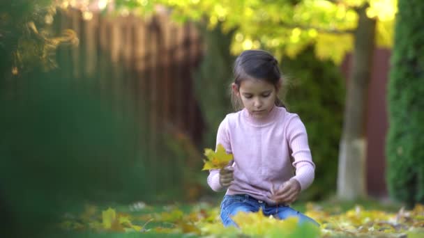 Mädchen Freien Spielt Und Freut Sich Mit Herbstblättern Video — Stockvideo