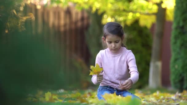 Meisje Buitenkant Speelt Verheugt Zich Met Herfst Bladeren Video — Stockvideo