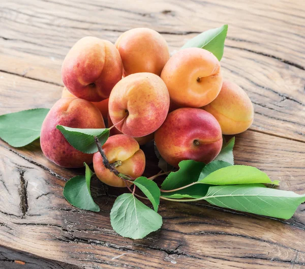 Rijpe abrikozen op de boomgaard in de tuin. — Stockfoto