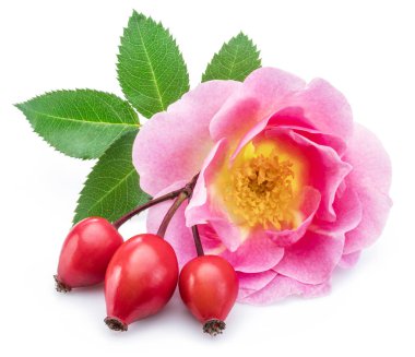 Beyaz arka planda gül çiçekli gül kalçalı..