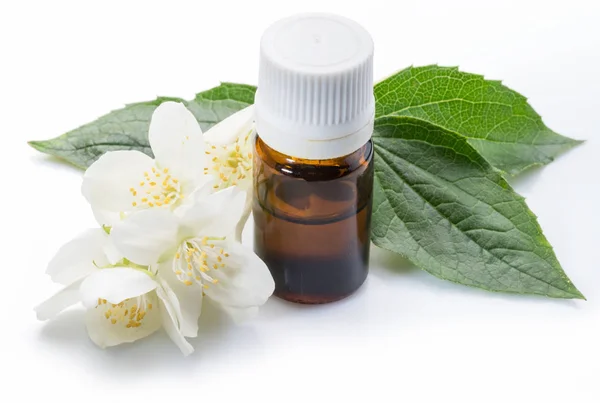 Fleurs de jasmin tendres et huile de jasmin close-up sur fond blanc — Photo