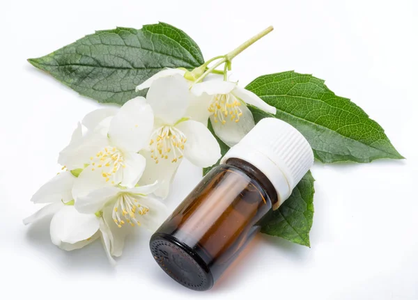 Fleurs de jasmin tendres et huile de jasmin close-up sur fond blanc — Photo
