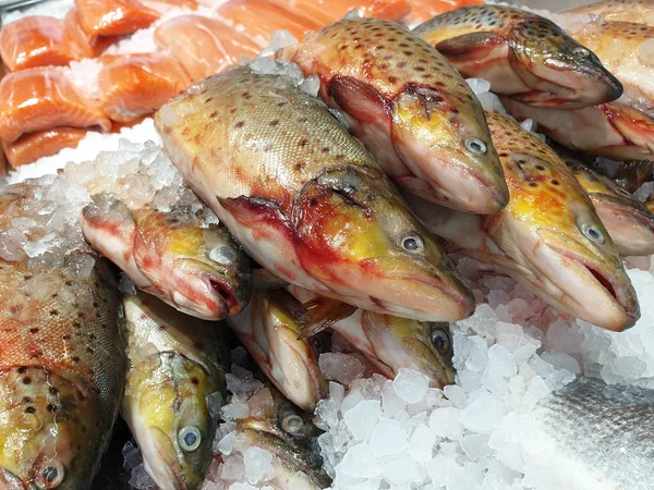 Trutas de arco-íris e bifes de salmão sobre gelo. Mercado do peixe . — Fotografia de Stock