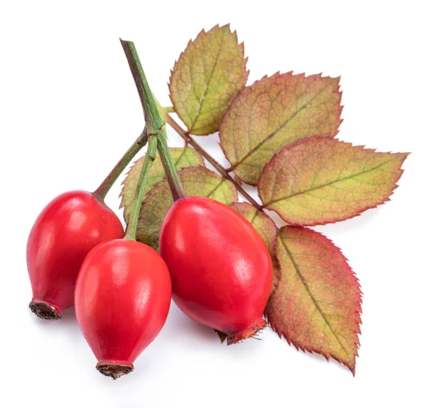 Rozenbottels met rozenblaadjes geïsoleerd op een witte achtergrond. — Stockfoto