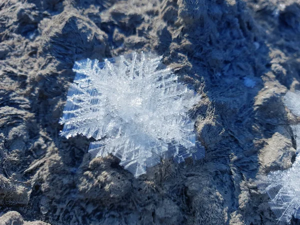 Bellissimo fiocco di neve. Sfondo natura gelida . — Foto Stock