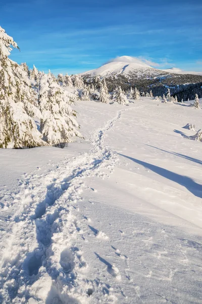 Mount Goverla, Ukraina. Vackert vinterlandskap. Toppar av moun — Stockfoto