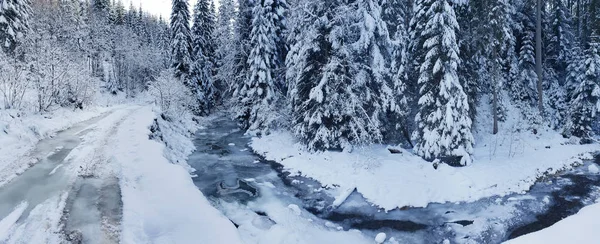 Prachtige winterlandschap. Bevroren rivier en groene sparren bedekt — Stockfoto