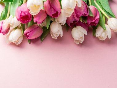 Lightpink arka plan üzerinde beyaz ve pembe laleler. 