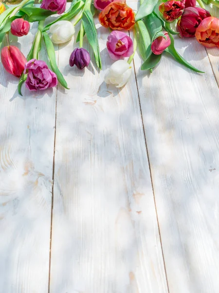 Colorful tulips on white wooden table in spring sunlights.