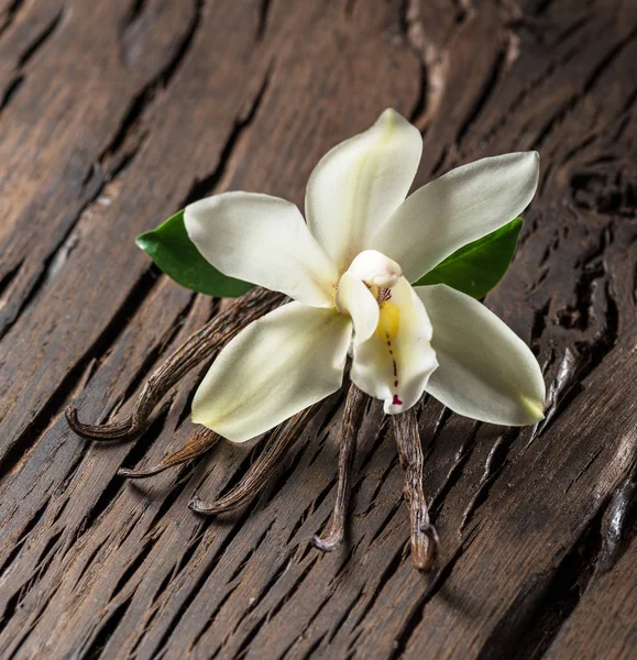 Suszone, laski wanilii i wanilii Orchidea na drewnianym stole. — Zdjęcie stockowe