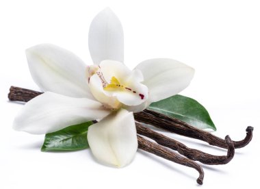 Vanilya çubukları ve üzerinde beyaz izole orkide vanilya çiçek kurutulmuş