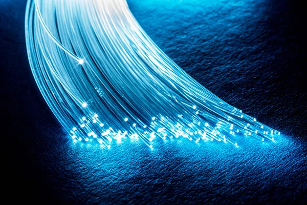 Bundle of optical fibers with lights in the ends. Blue backgroun