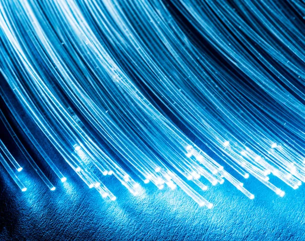 Svazek optických vláken se světly na koncích. Modrá backgroun — Stock fotografie
