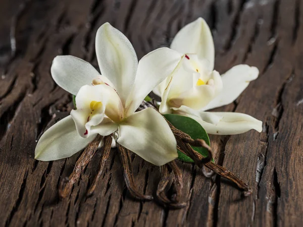 Palitos de baunilha secos e orquídea de baunilha na mesa de madeira . — Fotografia de Stock