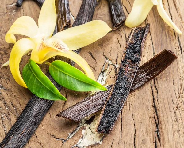 Gedroogde vanille vruchten en Vanille-orchidee op houten tafel. — Stockfoto