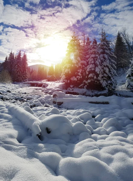 美しい冬の風景。凍った川と緑のモミの覆われた — ストック写真