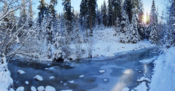 Prachtige winterlandschap. Bevroren rivier en groene sparren bedekt — Stockfoto