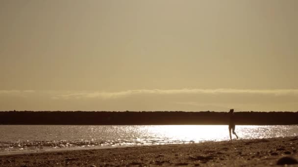 女孩在落日的余晖中沿着大海的海滩奔跑 单色暖光背光 — 图库视频影像