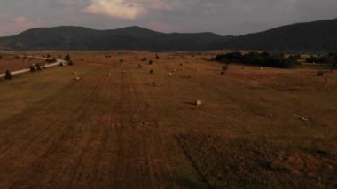 Samanlıklar ve güzel doğa ile akşam manzarası. Üst Manzara. Hırvatistan, Ağustos 2019