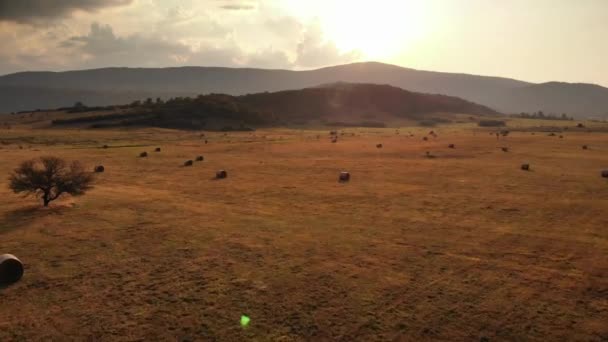 Abendlandschaft Mit Heuhaufen Und Wunderschöner Natur Ansicht Von Oben Kroatien — Stockvideo