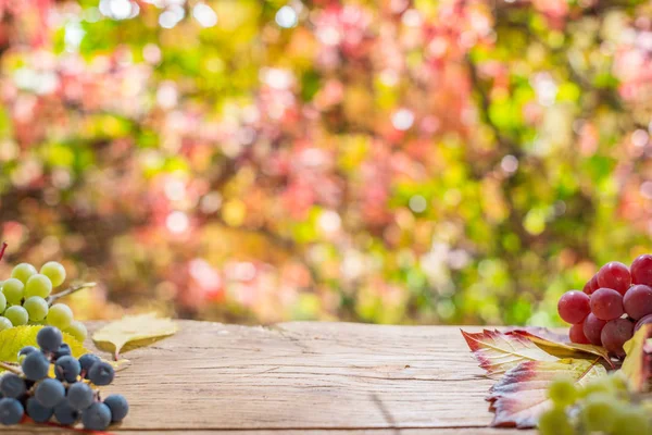 Sonbahar arkaplanı ahşap masa ve güzel güneşli bokeh. — Stok fotoğraf