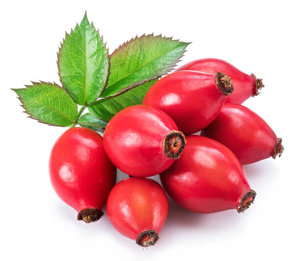 Rose-hips with rose leaves isolated on a white background.
