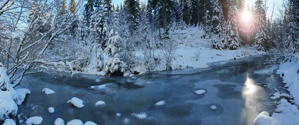 Wunderschöne Winterlandschaft. Zugefrorener Fluss und grüne Tannen bedeckt — Stockfoto