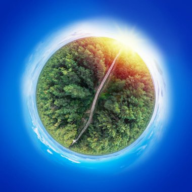 Küre şeklindeki çam ormanlarının küresel manzarası..