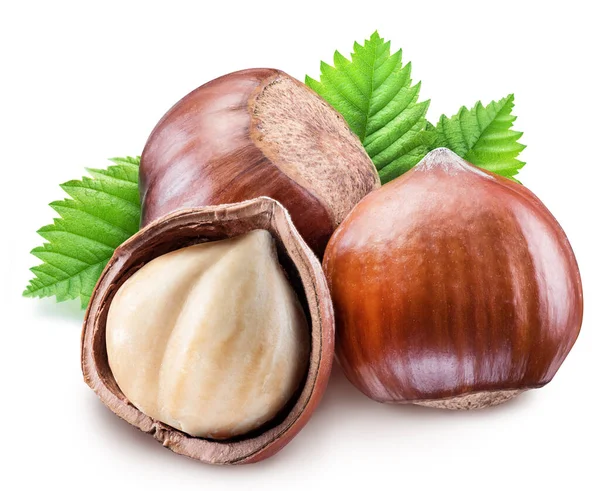 Hazelnut Dengan Cangkang Daun Cokelat Dan Kacang Dikupas Terisolasi Pada — Stok Foto