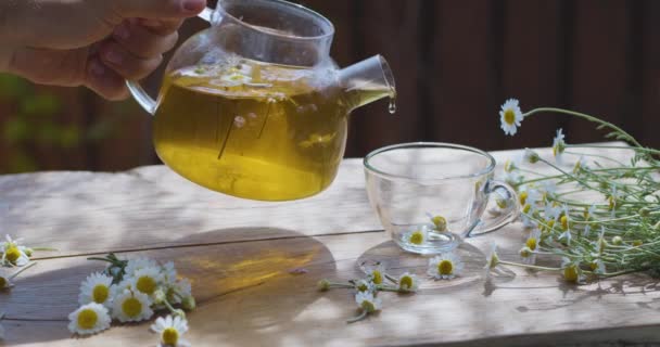 ชาดอกคาโมไมล กเทลงในถ วยแก วจากกาน าชาใส การกระท าเก นบนระเบ ยงในชนบทฤด อนพร — วีดีโอสต็อก