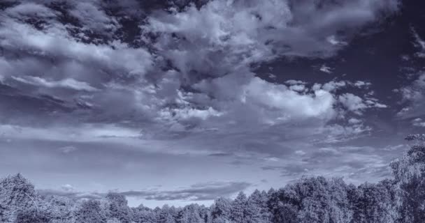 Beweging Van Wolken Blauwe Lucht Zwart Wit Toning Tijdsverloop Video — Stockvideo