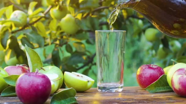 Jus Pomme Est Versé Une Carafe Dans Verre Dans Verger — Video