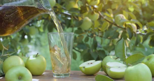 アップルジュースは 夏の夜のリンゴ園のガラスにデカンタから注いでいます りんごが横になっています カメラはゆっくり横に動く — ストック動画