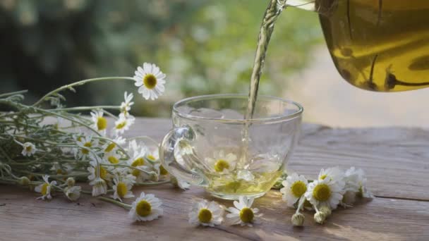 Chamomile Tea Poured Glass Cup Transparent Teapot Action Takes Place — Stock Video