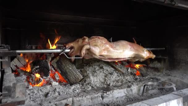 小猪在一个特殊的烤箱里 用烤过的木炭把它放在吐口水上烤 — 图库视频影像