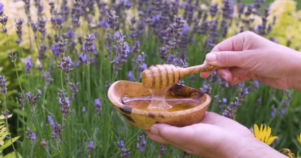 Hand Med Träskål Med Honung Bakgrund Lavendel Blommor Häller Honung — Stockvideo