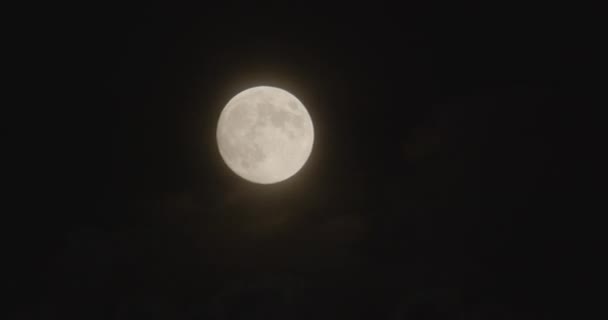 Volle Maan Beweegt Zich Door Nachtelijke Hemel Vergezeld Van Kleine — Stockvideo