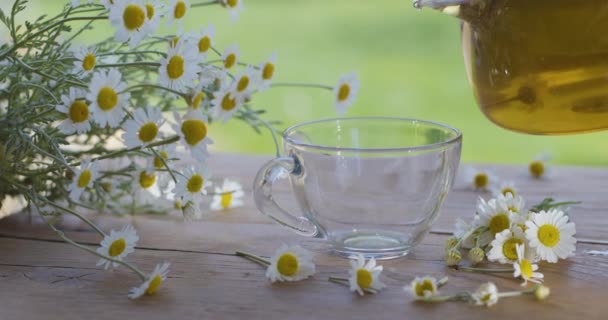Ромашковий Чай Наливають Склянку Прозорого Чайника Дія Відбувається Літній Сільській — стокове відео